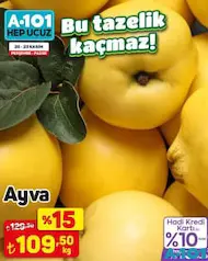 AYVA KG fiyat ve kampanya bilgisi
